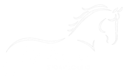 JMSOLER
